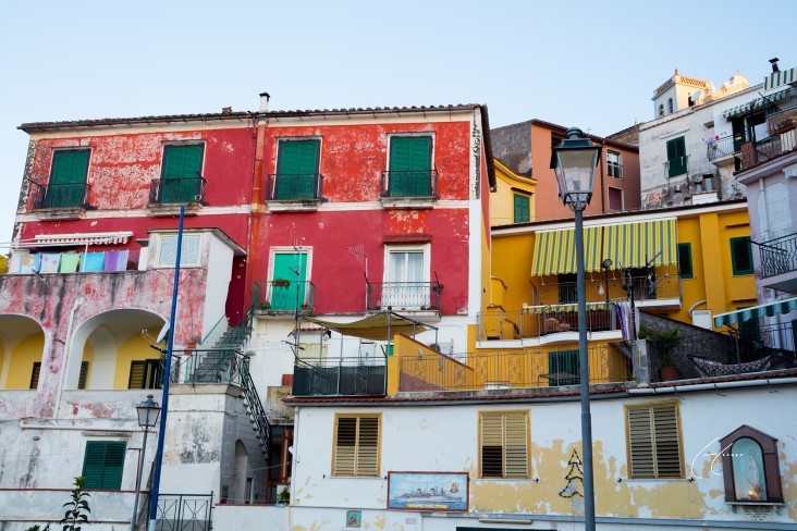 Local Villa Color